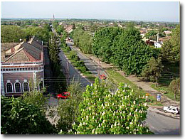 Backo Petrovo Selo